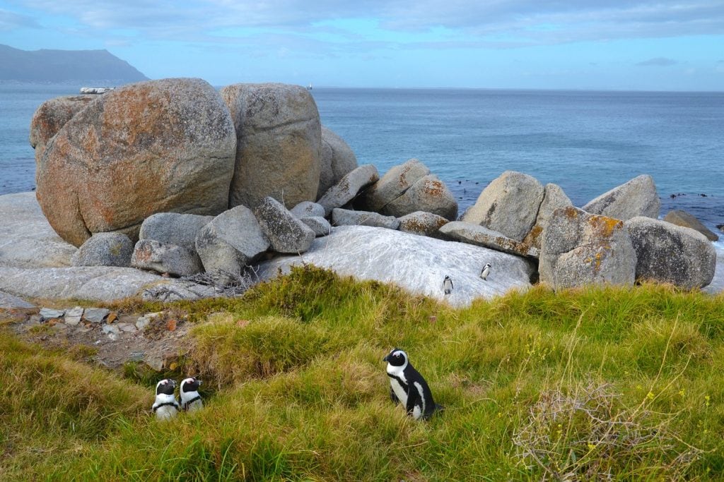 boulders beach